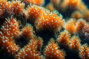een Doorzichtig afbeelding van koraal poliepen, tonen hoe ze bouwen gemeenschappen onder de zee.. creatief hulpbron, ai gegenereerd foto