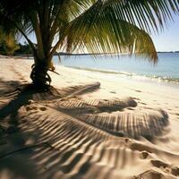 palm bladeren gieten schaduwen Aan zanderig strand foto