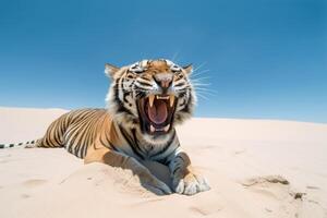 tijger resting Aan de strand natuur visie ai gegenereerd foto