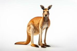 kangoeroe geïsoleerd Aan wit achtergrond met knipsel pad. deze is een 3d geven illustratie. ai gegenereerd foto