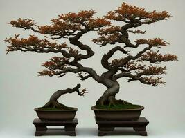 mooi duur bonsai boom Aan wit achtergrond ai gegenereerd foto