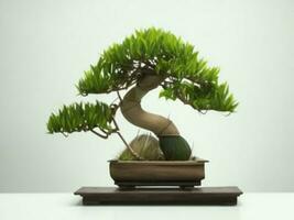 mooi duur bonsai boom Aan wit achtergrond ai gegenereerd foto