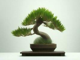 mooi duur bonsai boom Aan wit achtergrond ai gegenereerd foto