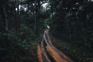 onverharde weg naar het bos in het tropische regenseizoen foto