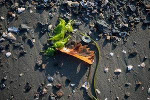 natuurlijke achtergrond met zandstrand en rotsen foto