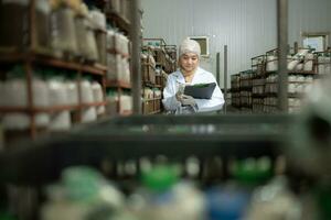 jong Aziatisch moslim vrouw wetenschapper aan het doen Onderzoek Bij een paddestoel fabriek, onderzoeken paddestoel rijsmiddel middel in een steriel en temperatuurgecontroleerd kamer. foto