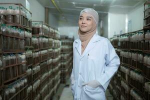 portret van jong Aziatisch moslim vrouw wetenschapper aan het doen Onderzoek Bij een paddestoel fabriek, onderzoeken paddestoel rijsmiddel middel in een steriel en temperatuurgecontroleerd kamer. foto