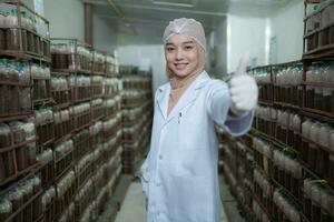 portret van jong Aziatisch moslim vrouw wetenschapper aan het doen Onderzoek Bij een paddestoel fabriek, onderzoeken paddestoel rijsmiddel middel in een steriel en temperatuurgecontroleerd kamer. foto