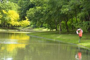 mooi meer en bomen in een park, Bangkok, Thailand foto