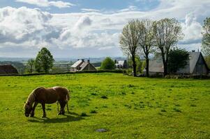 natuurlijk park van Auvergne vulkanen foto