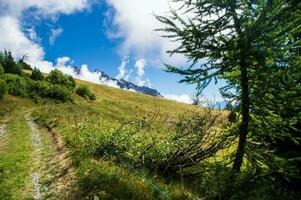 Zwitsers Alpen landschap foto