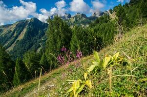 Zwitsers Alpen landschap foto