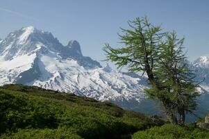 landschap van de Frans Alpen foto