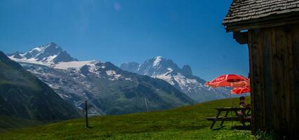 landschap van de Alpen in Frankrijk in zomer foto