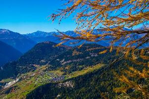 Paysage des alpen suisse nl automne foto