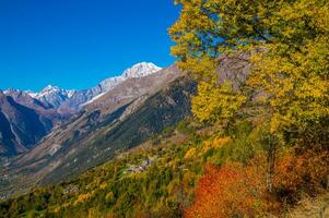 Paysage des alpen suisse nl automne foto