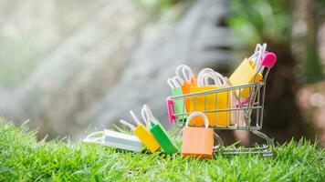 boodschappen doen kar met boodschappen doen Tassen Aan gras foto