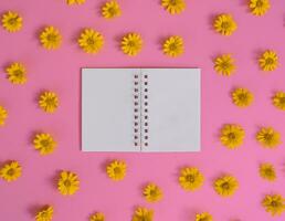 direct bovenstaand visie van blanco notitieboekje met oranje bloem Aan roze achtergrond. foto