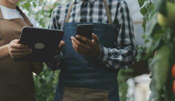 in de industrieel kas twee agrarisch ingenieurs test planten Gezondheid en analyseren gegevens met tablet computer. foto