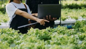 in de industrieel kas twee agrarisch ingenieurs test planten Gezondheid en analyseren gegevens met tablet computer. foto