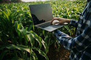 landbouwer benutten de kern gegevens netwerk in de internet van de mobiel naar valideren, testen, en selecteer de nieuw Bijsnijden methode. jong boeren en tabak landbouw foto