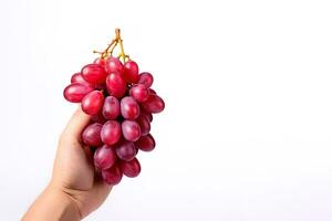 hand- Holding een bundel van rood druiven geïsoleerd Aan een wit achtergrond met kopiëren ruimte. ai gegenereerd foto