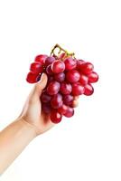 hand- Holding een bundel van rood druiven geïsoleerd Aan een wit achtergrond. ai gegenereerd foto