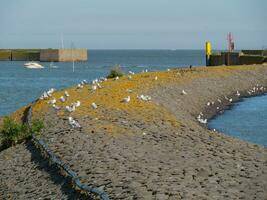 langeoog eiland in duitsland foto