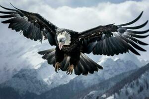 pittoreske condor vliegend bergen. genereren ai foto