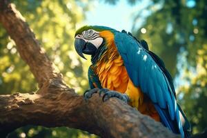 detailopname van een kleurrijk ara neergestreken Aan een boom tak, presentatie van de rijk biodiversiteit van de amazon en haar levendig vogel soorten. generatief ai foto