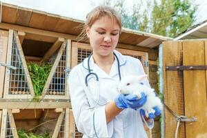 gelukkige jonge dierenarts vrouw met stethoscoop houden en onderzoeken konijn op ranch achtergrond. konijntje in handen van dierenarts voor controle in natuurlijke eco-boerderij. dierenverzorging en ecologisch landbouwconcept. foto