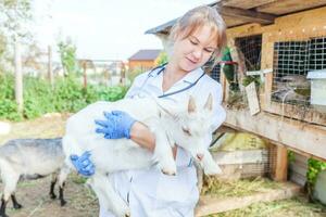 dierenarts vrouw met stethoscoop Holding en onderzoeken geit kind Aan boerderij achtergrond. jong geiten met dierenarts handen voor controleren omhoog in natuurlijk eco boerderij. dier zorg en ecologisch landbouw concept. foto