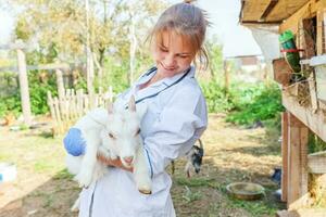 dierenarts vrouw met stethoscoop Holding en onderzoeken geit kind Aan boerderij achtergrond. jong geiten met dierenarts handen voor controleren omhoog in natuurlijk eco boerderij. dier zorg en ecologisch landbouw concept. foto