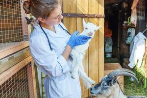 jong dierenarts vrouw met stethoscoop Holding en onderzoeken geit kind Aan boerderij achtergrond. jong geiten in dierenarts handen voor controleren omhoog in natuurlijk eco boerderij. modern dier vee, ecologisch landbouw. foto