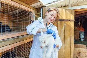 jong dierenarts vrouw met stethoscoop Holding en onderzoeken geit kind Aan boerderij achtergrond. jong geiten in dierenarts handen voor controleren omhoog in natuurlijk eco boerderij. modern dier vee, ecologisch landbouw. foto