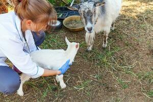 jong dierenarts vrouw met stethoscoop Holding en onderzoeken geit kind Aan boerderij achtergrond. jong geiten in dierenarts handen voor controleren omhoog in natuurlijk eco boerderij. modern dier vee, ecologisch landbouw. foto