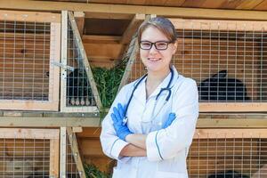 dierenarts vrouw met stethoscoop Aan schuur boerderij achtergrond. dierenarts dokter controleren omhoog konijn in natuurlijk eco boerderij. dier zorg en ecologisch vee landbouw concept. foto