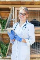 dierenarts vrouw die met tabletcomputer de gezondheidsstatus van dieren op de achtergrond van de schuurboerderij controleert. dierenarts arts check-up konijn in natuurlijke eco-boerderij. dierenverzorging en ecologisch veehouderijconcept. foto