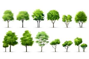 een reeks van verschillend types van bomen, inclusief groen en bruin. generatief ai foto