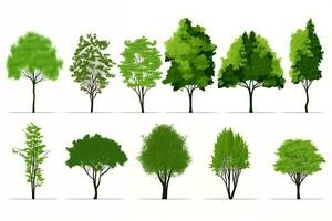 een verzameling van verschillend types van bomen. generatief ai foto