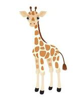 een tekenfilm giraffe staand Aan een wit achtergrond. generatief ai foto