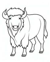 een bizon is staand in een lijn Aan een wit achtergrond. generatief ai foto