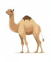 kleur vector beeld van kameel staat Aan wit achtergrond. generatief ai foto
