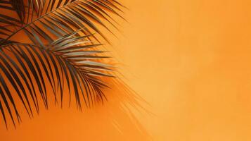 beton oranje achtergrond met palm bladeren. foto