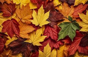 achtergrond van herfst bladeren. herfst achtergrond. generatief ai foto