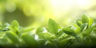 dichtbij omhoog van natuur visie groen blad Aan wazig groen achtergrond. generatief ai foto