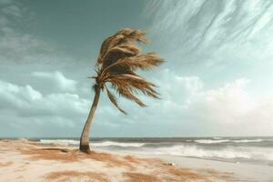 een eenzaam palm boom zwaaiend in de bries foto