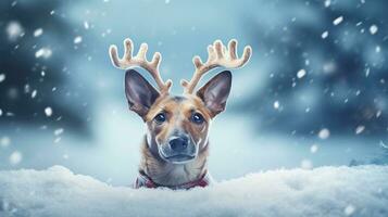 een hond vervelend rendier gewei en zittend in een besneeuwd winter wonderland, met ruimte voor tekst, achtergrond afbeelding, generatief ai foto