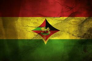 vlag behang van Guyana foto