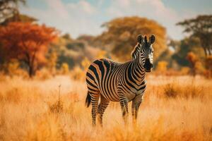 nationaal dier van Malawi foto